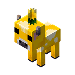 Pets Custom