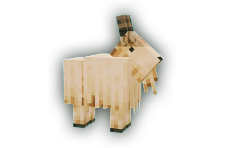 Pet Capra