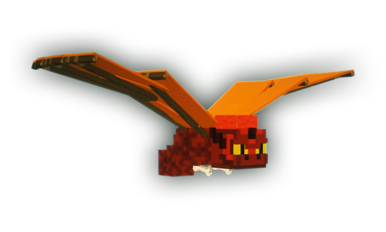 Pet Dragone