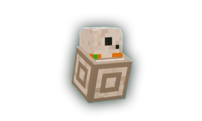 Pet Robot