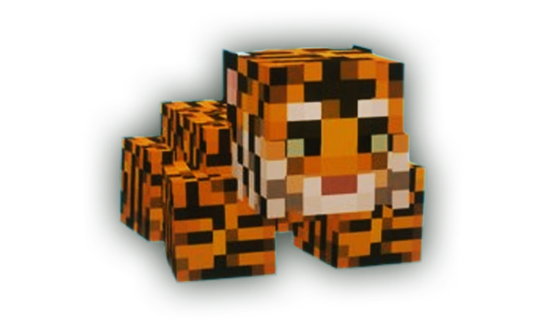 Pet Tigre
